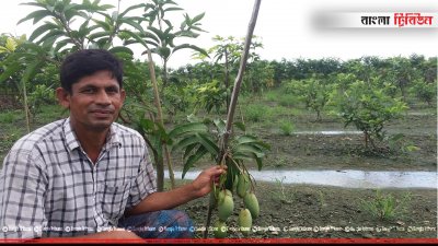 আম বাগানে কবিরুস