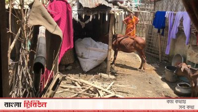 ৩৪ বছরেও নিজ বাড়িতে ফিরতে না পারায় হতাশ তারা