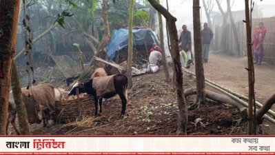 শীতে সীমাহীন দুর্ভোগে নিম্ন আয়ের মানুষ