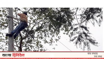 বনের ভেতর দিয়ে নেওয়া বিদ্যুতের তার 