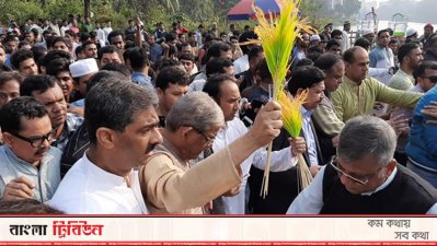 প্রচারণায় তাবিথ আউয়ালসহ বিএনপির নেতাকর্মীরা