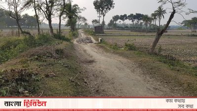 এই রাস্তা দিয়ে হেটে নায়ড়া বাজারে এসেছিলেন বঙ্গবন্ধু