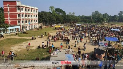 কলেজ বন্ধ রেখে বসে সাপ্তাহিক গরুর হাট!