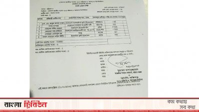 নির্বাচনের ফলাফল
