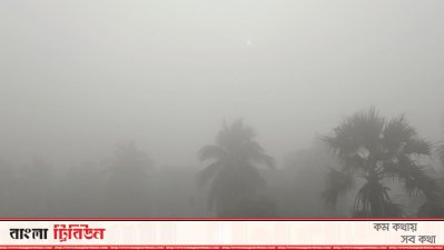 ঘন কুয়াশায় বোরো বীজতলা নিয়ে উদ্বিগ্ন খুলনার কৃষক