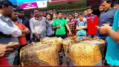 ৮০ মণ জাটকা জব্দ