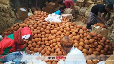 রাজশাহীতে বাণিজ্যিকভাবে তৈরি হচ্ছে খেজুর গুড়