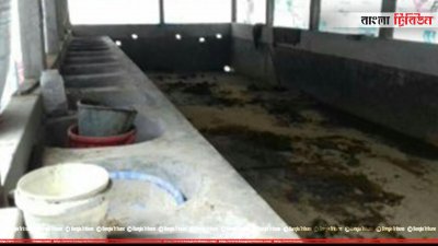 গোয়াল ঘর থেকে চুরি গেছে গরু