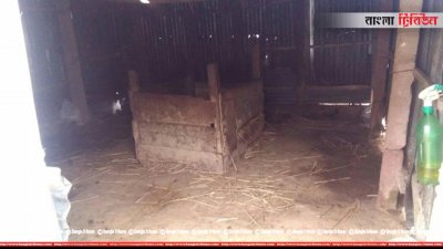 গোয়াল ঘর থেকে চুরি গেছে গরু