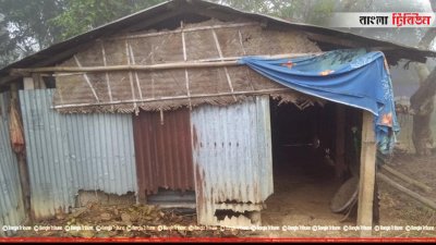 গোয়াল ঘর থেকে চুরি গেছে গরু