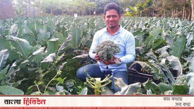 ব্রোকলিতেই হাসি জাহাঙ্গীরের