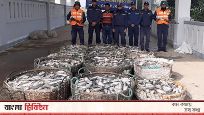 চাঁদপুরে জব্দ করা জাটকা ইলিশ