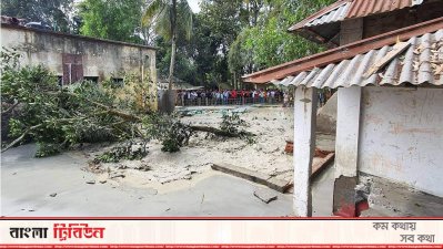 গ্যাস উদগিরণে ধসে পড়ছে গাছপালা