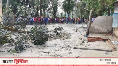 গ্যাস উদগিরণে ধসে পড়ছে গাছপালা