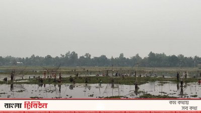 শত শত লোক পলো, জাল ও অন্যান্য সরঞ্জাম দিয়ে মাছ শিকার করেন 