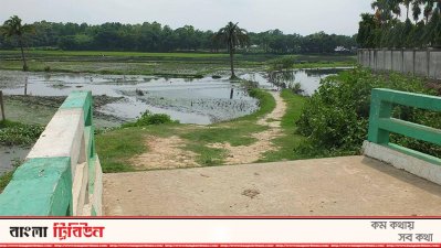 সেতু আছে সড়ক নাই!