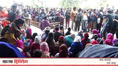 আন্দোলনে শিক্ষার্থীরা