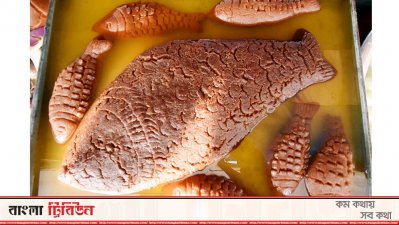 পোড়াদহ মেলায় মাছ আকৃতির মিষ্টি