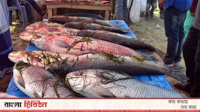 পোড়াদহ মেলায় মাছ