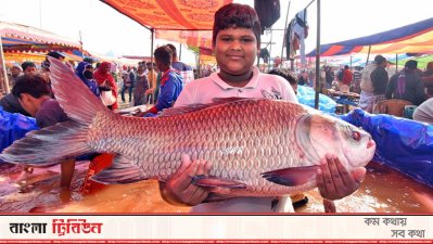 পোড়াদহ মেলায় মাছ