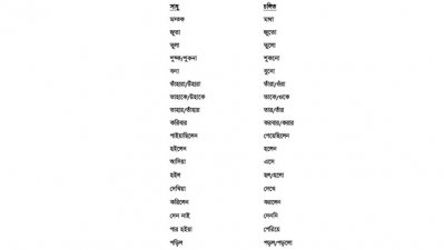 সাধু-চলিত শব্দ (ছবি: সংগৃহীত)