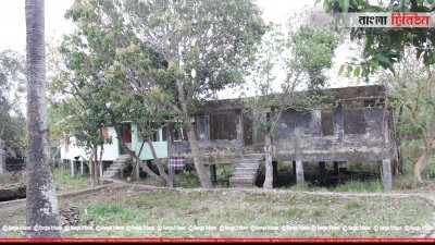 সুন্দরবনের ভেতরে থাকা পরিত্যক্ত বাড়ি