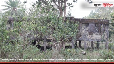 সুন্দরবনের ভেতরে থাকা পরিত্যক্ত বাড়ি