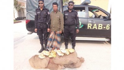 ৭৭টি কচ্ছপসহ পাচারকারী আটক