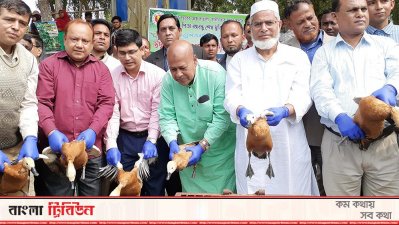 আলতাদিঘী জাতীয় উদ্যানে পরিজায়ী পাখি &lsquo;চখাচখি&rsquo; অবমুক্ত
