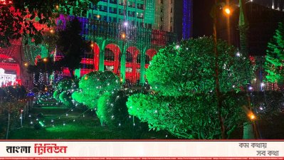 নগর ভবনের গাছে আলোকসজ্জা