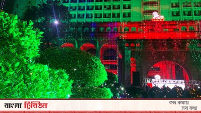 বর্ণিল সাজে নগর ভবনের গাছ