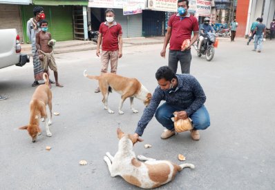 ক্ষুধার্ত কুকুরদের খাবার দিচ্ছে রাসিক