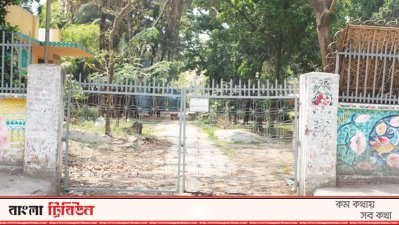 বিবর্ণ চারুকলা (ফটো স্টোরি)