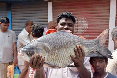 কুমিল্লায় রাজগঞ্জ বাজারে ঐতিহ্যবাহী মাছের আড়ত ও মেলা বন্ধ ঘোষণা করেছে সিটি করপোরেশন
