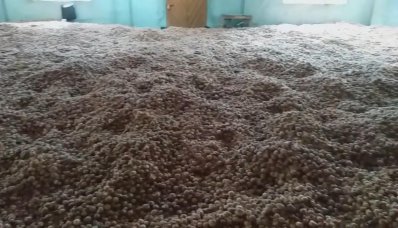 পোশাক কারখানায় মিললো ৬ টন পেঁয়াজ