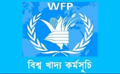 ডিব্লউএফপি