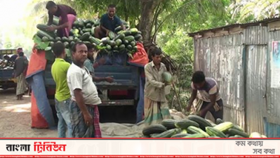 লকডাউনের কারণে তরমুজ ও বাঙ্গি বিক্রি নিয়ে চিন্তায় কৃষকরা