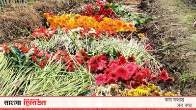 ফুলের দ্বিতীয় রাজধানীতে করোনার থাবা