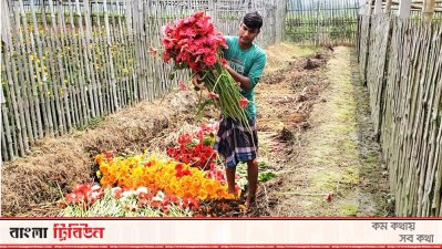ফুলের দ্বিতীয় রাজধানীতে করোনার থাবা