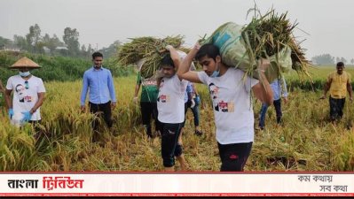 কৃষকের ধান কেটে দিলো ছাত্রলীগ নেতাকর্মীরা