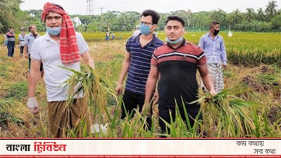 সাবেক কেন্দ্রীয় ছাত্রলীগ নেতা ইস্কান্দার মির্জা শামিম (বামে)