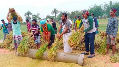 ফোন পেলেই ধান কেটে মাড়াই করে ঘরে তুলে দিচ্ছেন তারা