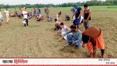 অন্যের জমিতে কাজ করে দুস্থদের খাবার কিনে দিচ্ছেন ৫০ তরুণ