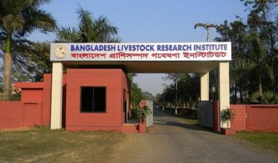 বাংলাদেশ প্রাণিসম্পদ গবেষণা ইনস্টিটিউট