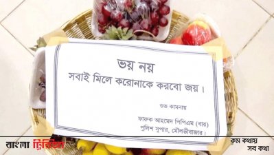 ফলের ঝুড়ি