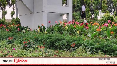 বাংলাদেশ বিমান বাহিনীর রেকর্ড অফিস গেটে শোভা বাড়িয়েছে কলাবতি 