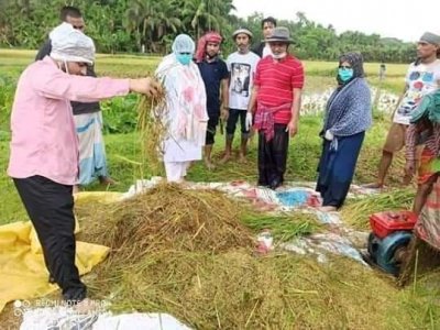 কৃষকের ধান কেটে দিলেন ইউএনও
