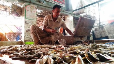 লোকসানে মাছচাষিরা