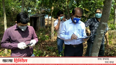 টেকনাফে পতঙ্গের আক্রমণস্থল পরিদর্শন করেন বিশেষজ্ঞরা
