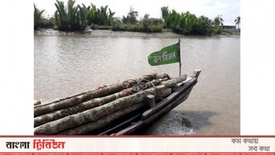 বন বিভাগের ট্রলারে করে গাছ পাচার